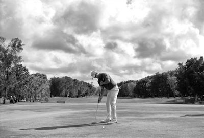 Adam Scott Poster 3508139