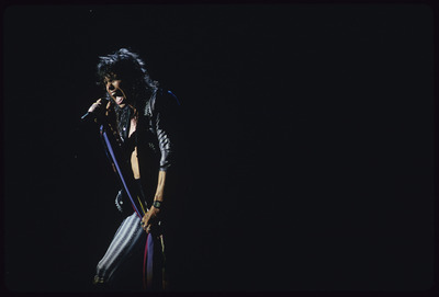Aerosmith Poster 2545075