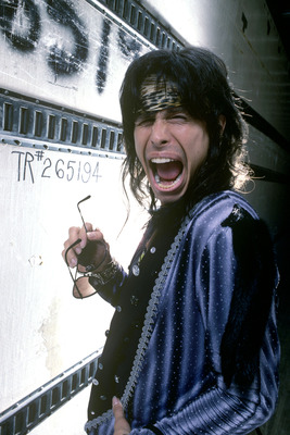 Aerosmith Poster 2545088