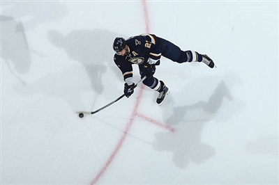 Alex Pietrangelo Poster 3552345