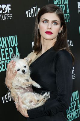 Alexandra Daddario Poster 3881263