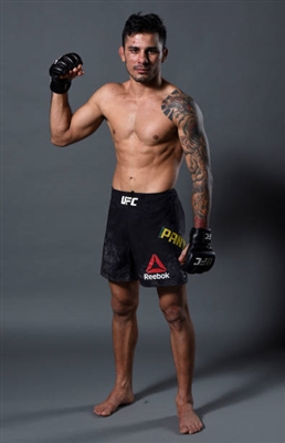 Alexandre Pantoja Poster 3513111