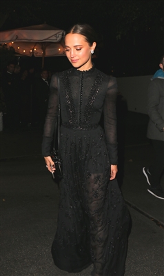 Alicia Vikander Poster 3033654