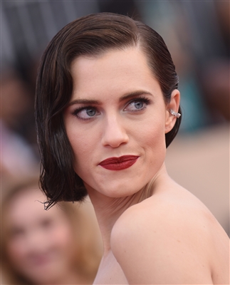 Allison Williams Poster 3030111