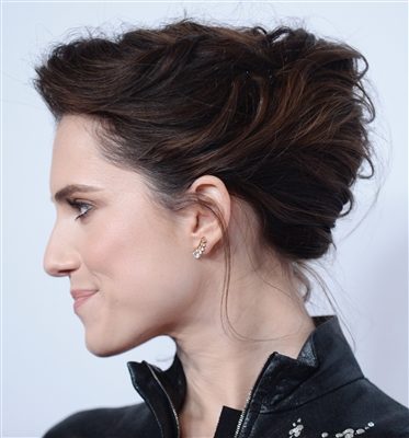 Allison Williams Poster 3030187