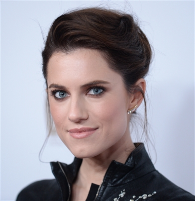 Allison Williams Poster 3030412
