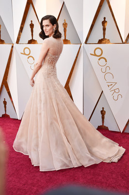 Allison Williams Poster 3246258