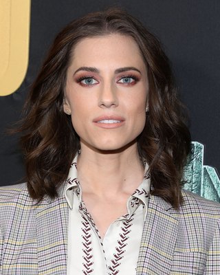 Allison Williams Poster 3246360