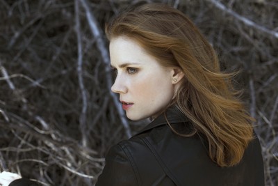 Amy Adams Poster 2128684