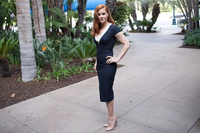 Amy Adams Poster 2458338
