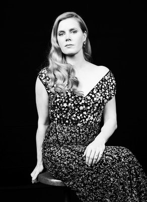 Amy Adams Poster 2697472