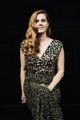 Amy Adams Poster 2697475