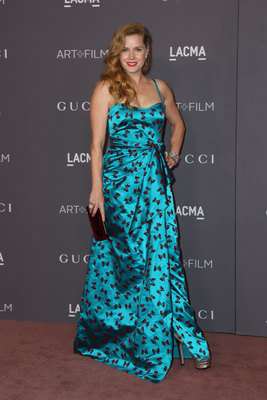 Amy Adams Poster 2854428