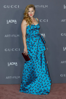 Amy Adams Poster 2854475