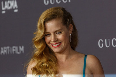 Amy Adams Poster 2854538