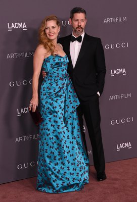 Amy Adams Poster 2854761