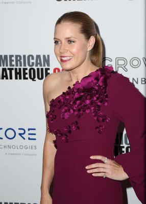 Amy Adams Poster 2854815