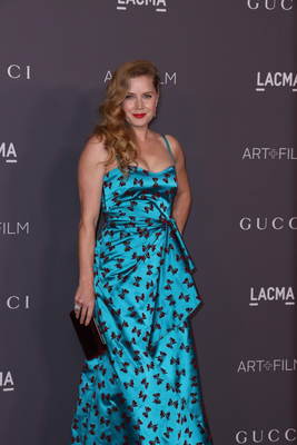 Amy Adams Poster 2854821