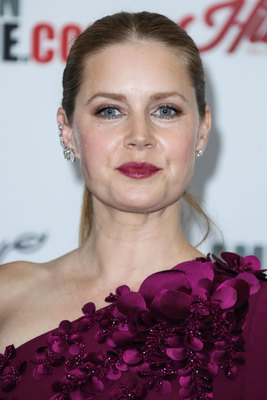 Amy Adams Poster 2854828