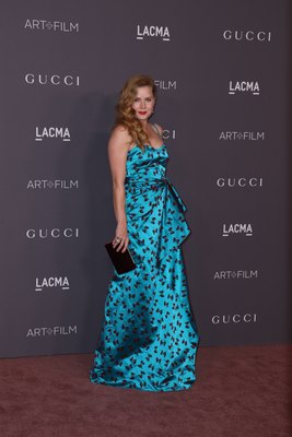 Amy Adams Poster 2854833