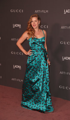 Amy Adams Poster 2854865