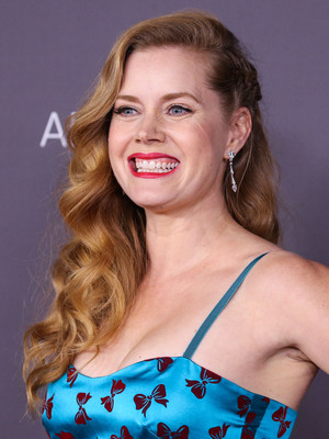 Amy Adams Poster 2854871