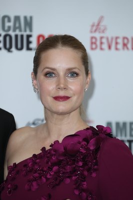 Amy Adams Poster 2854879