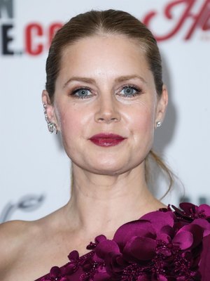 Amy Adams Poster 2854967