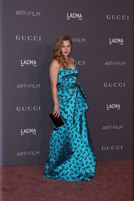 Amy Adams Poster 2855147