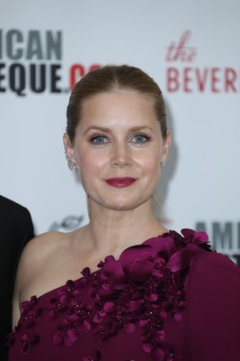 Amy Adams Poster 2855222