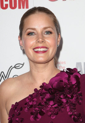 Amy Adams Poster 2855313