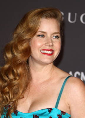 Amy Adams Poster 2855328