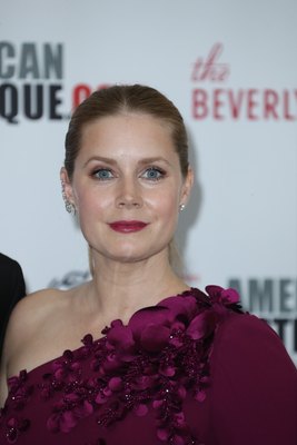 Amy Adams Poster 2855376