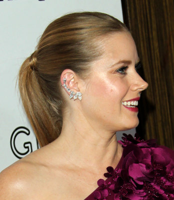 Amy Adams Poster 2855384