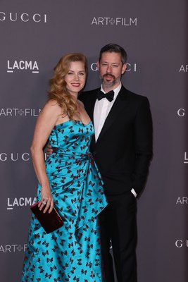 Amy Adams Poster 2855483