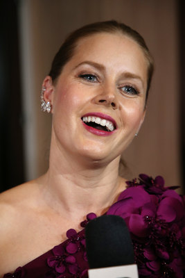 Amy Adams Poster 2855587