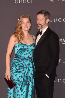 Amy Adams Poster 2855619