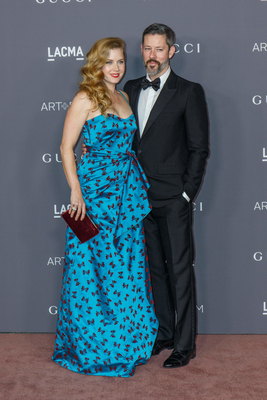 Amy Adams Poster 2855640