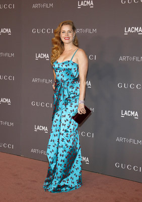 Amy Adams Poster 2855709
