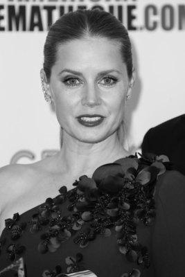 Amy Adams Poster 2855716