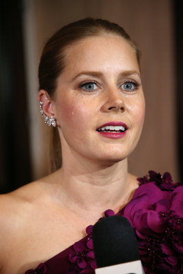Amy Adams Poster 2855719