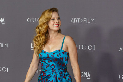 Amy Adams Poster 2855729