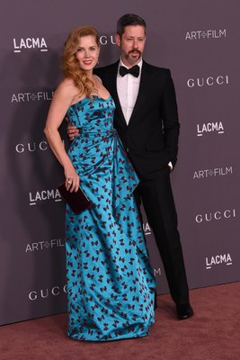 Amy Adams Poster 2855792