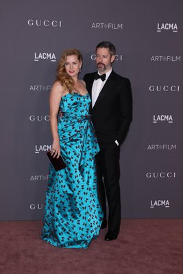 Amy Adams Poster 2855811
