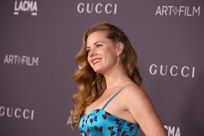 Amy Adams Poster 2855825