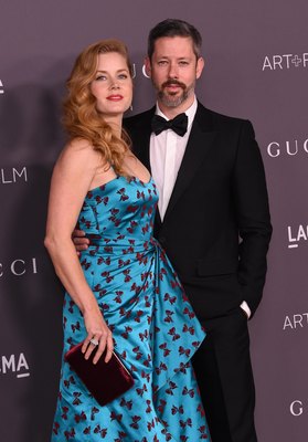 Amy Adams Poster 2855886