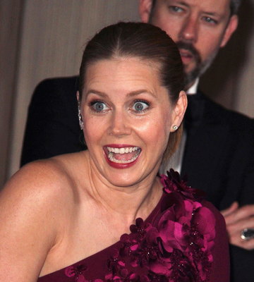 Amy Adams Poster 2855911