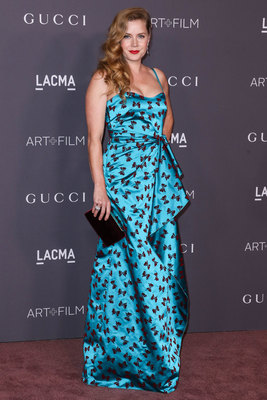 Amy Adams Poster 2856001