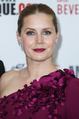 Amy Adams Poster 2856092