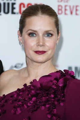 Amy Adams Poster 2856160